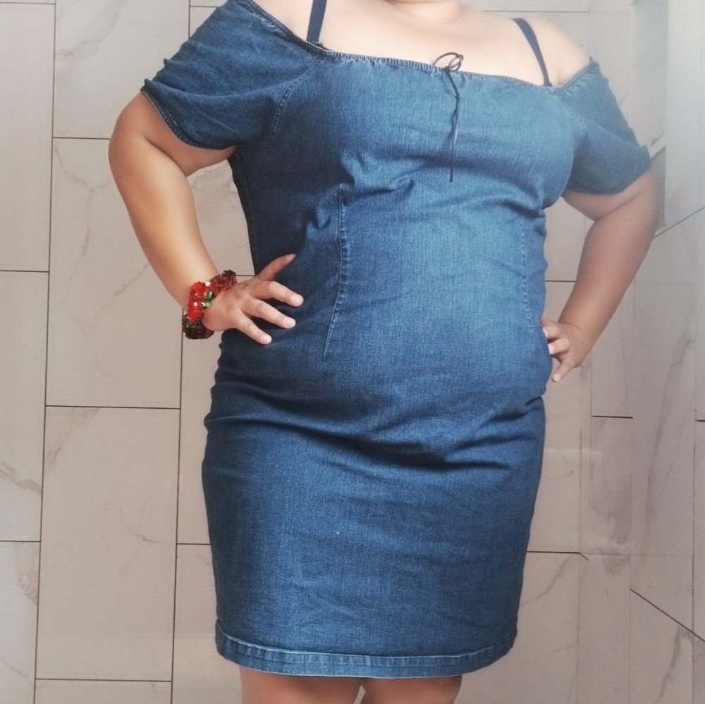 Carolina Blues vtg denim dress plus size 24w